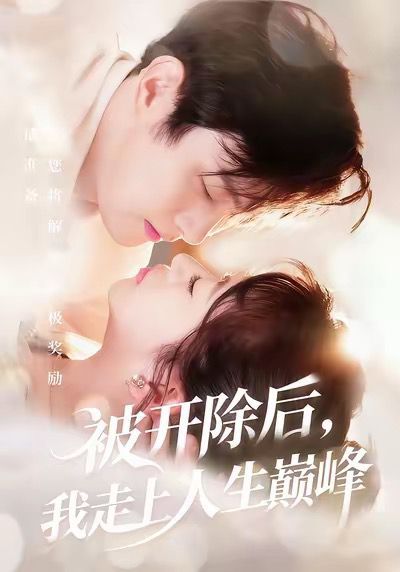 被開除后我走上人生巔峰(全集)