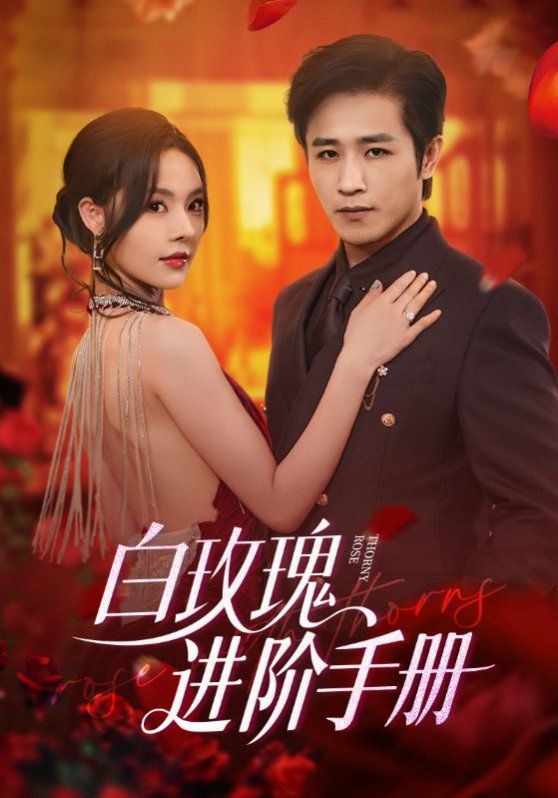 白玫瑰進(jìn)階手冊(全集)