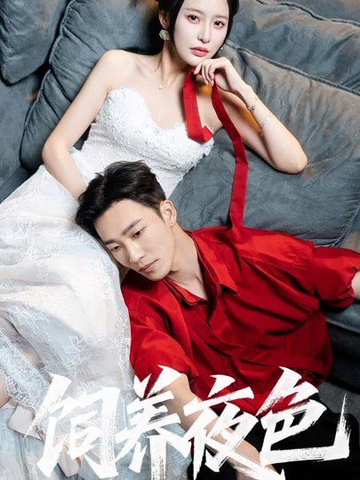 飼養夜色第35集