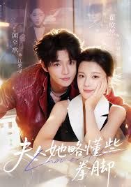 夫人她略懂些拳腳(全集)