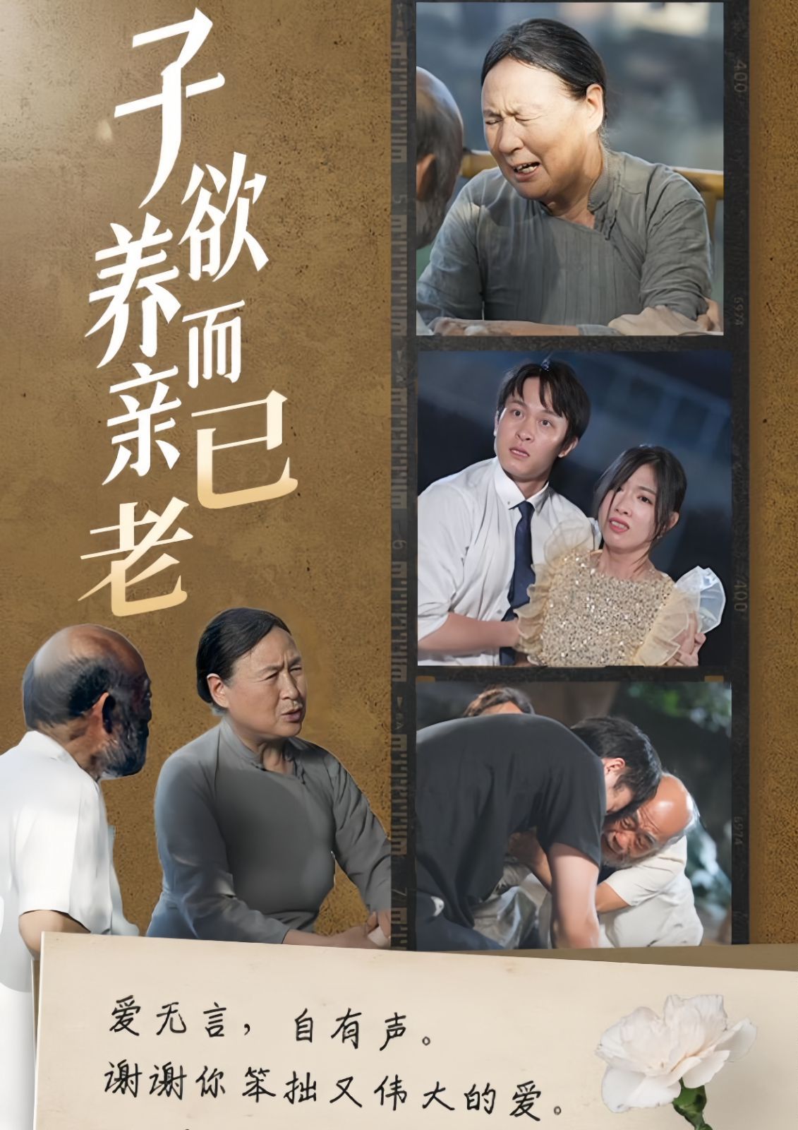 子欲養而親已老(全集)