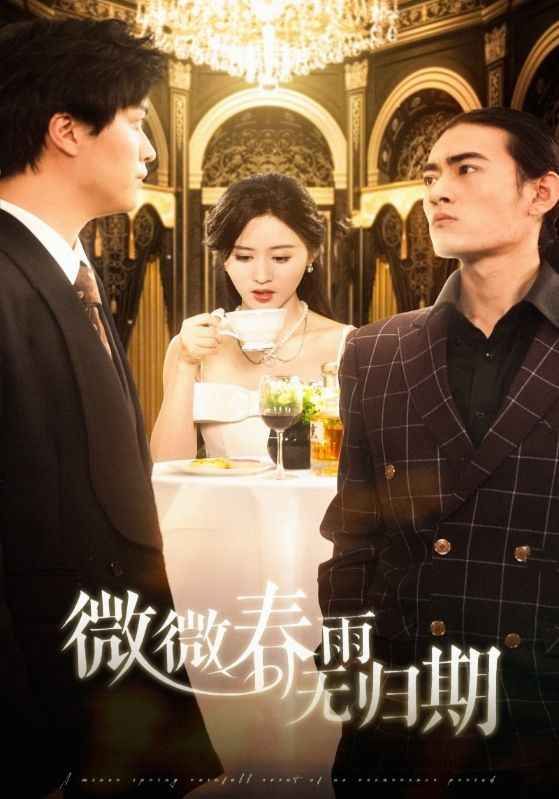 微微春雨無歸期(全集)