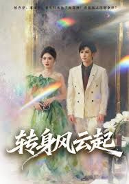 轉身風云起(全集)