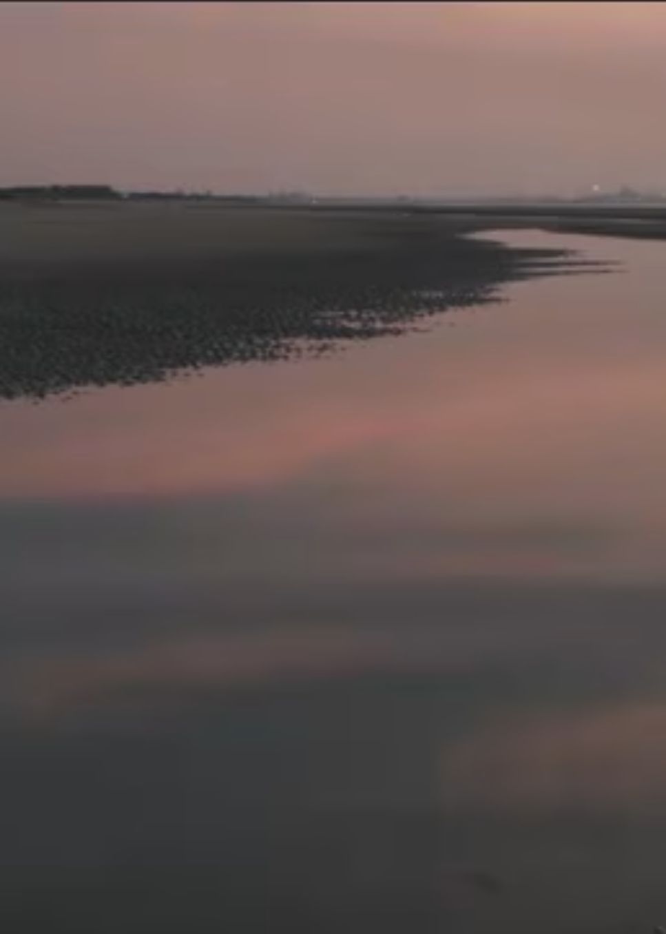 兩個爸爸的故事?