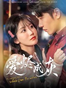 愛(ài)燼成灰(全集)