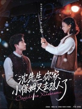 沈先生，你家小保姆又去懟人了(全集)