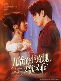 九爺?shù)男∶倒逵钟止?全集)