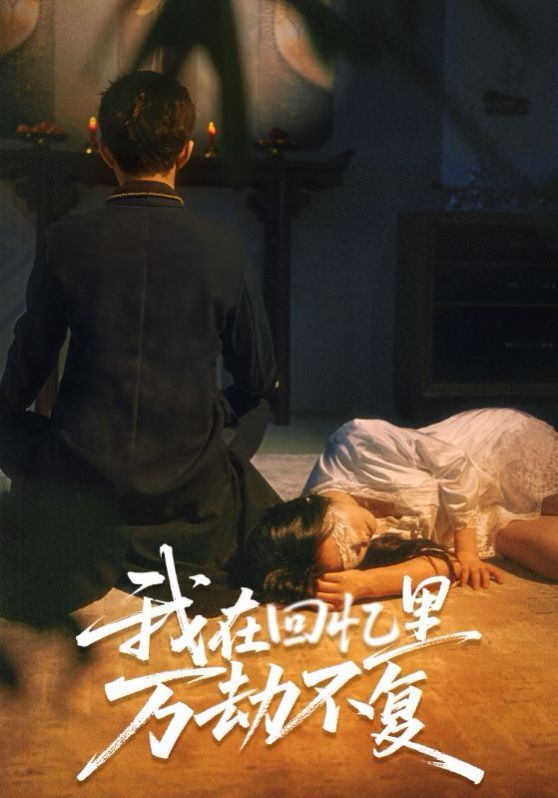 我在回憶里萬劫不復(fù)(全集)