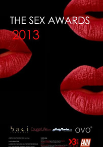 2013艷星頒獎典禮