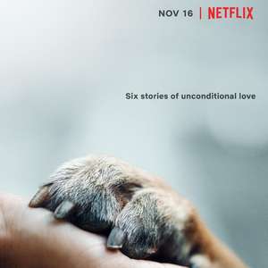 愛犬情深(全集)