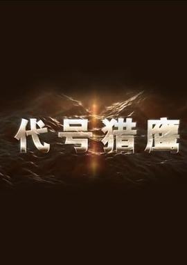 代號獵鷹(全集)