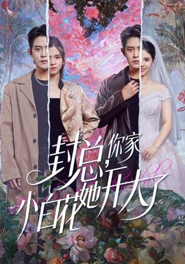 封總，你家小白花她開大了(全集)