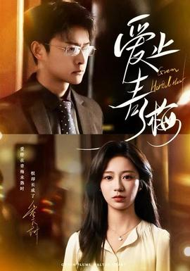 愛(ài)止青梅(全集)